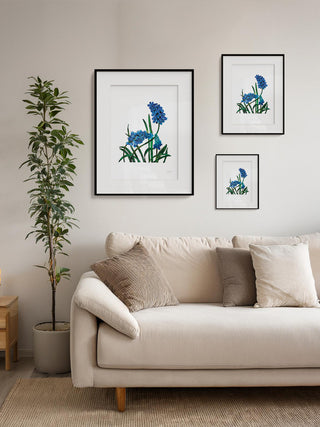 Muscari Mount Hood Blue Flowers Fine Art Print