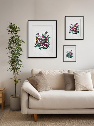 Pink Anemones Fine Art Print