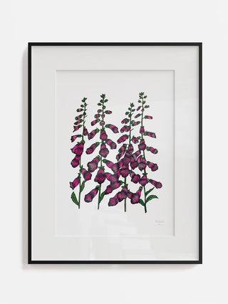 Foxgloves Fine Art Print