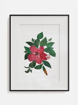 Hibiscus Fine Art Print