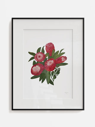 Protea Fine Art Print