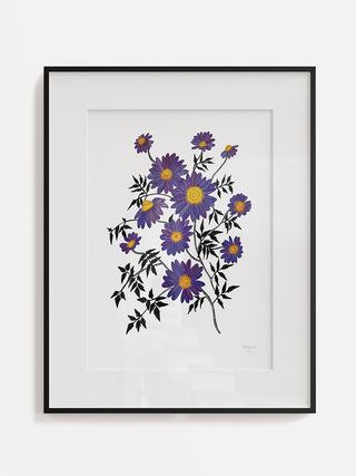 Posy of Daisies Fine Art Print