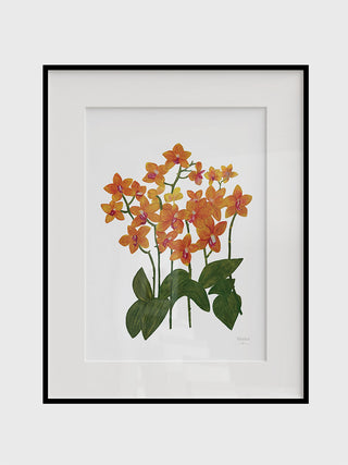 Orchid Fine Art Print