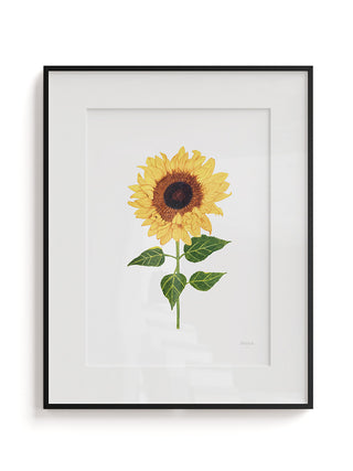 Sunflower Fine Art Print