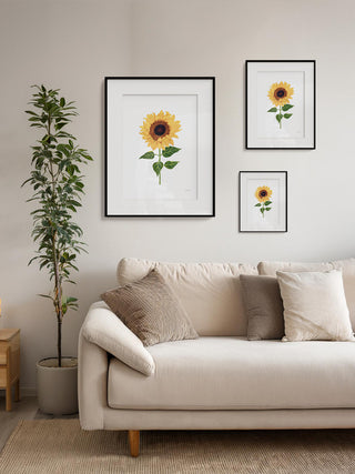 Sunflower Fine Art Print