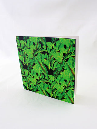 Forest Foliage at Night Card