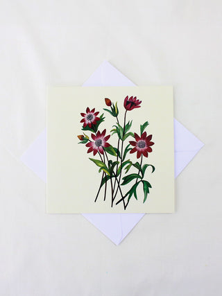 Anemones In Ivory Card