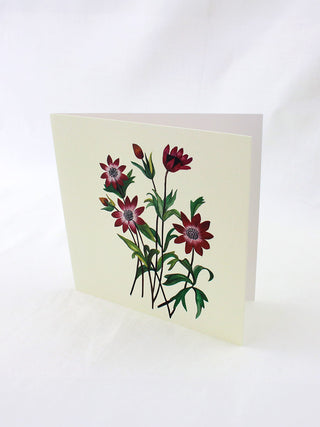 Anemones In Ivory Card