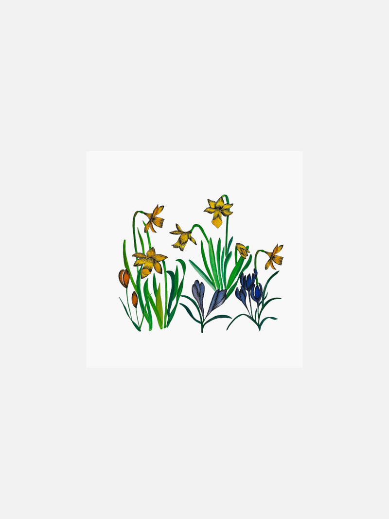 Daffodils Card