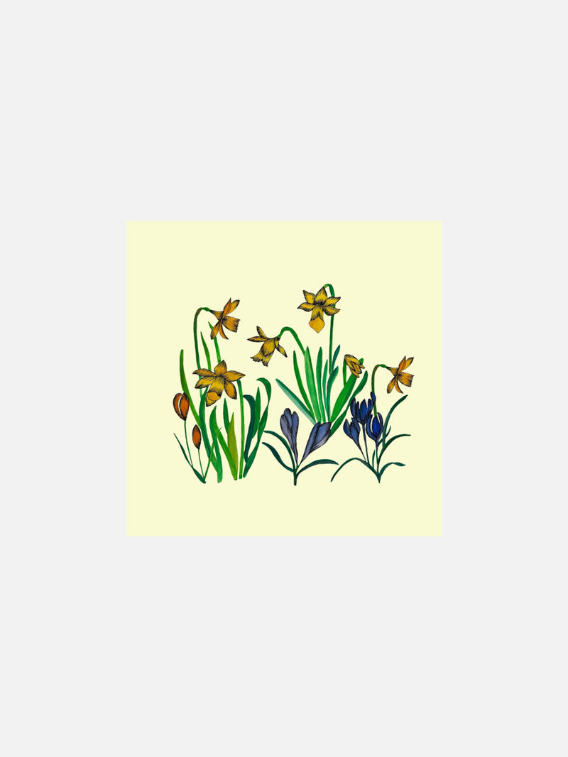 Daffodils In Cream Card