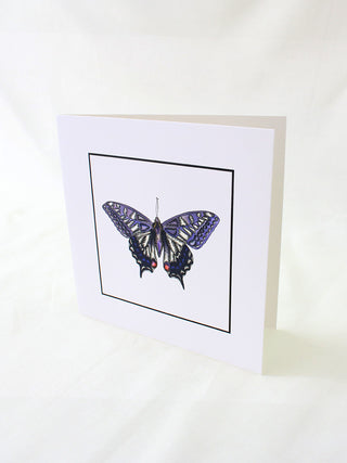 Violet Butterfly Card