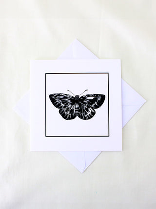 Butterfly Beauty Card