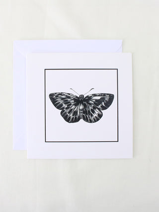 Butterfly Beauty Card