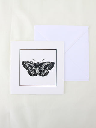 Butterfly Beauty Card