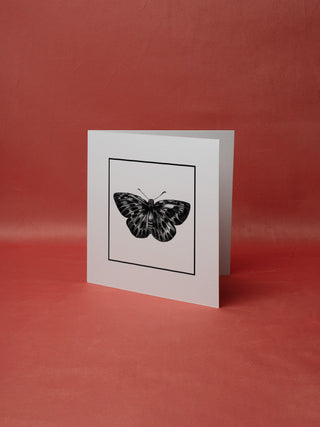 Butterfly Beauty Card