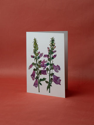 Foxgloves Card