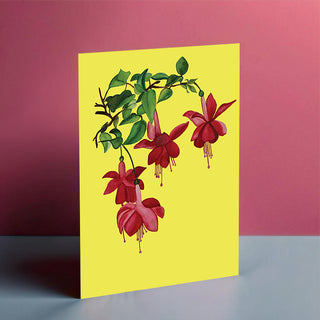 Fuchsia Flowers Sunshine Card