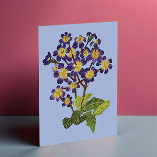 Primroses in Blue Card