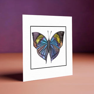 Ombre Butterfly Card