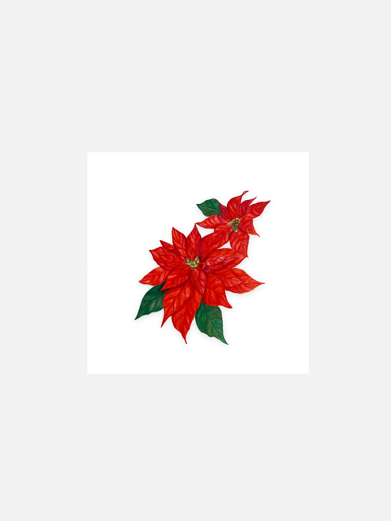 Christmas Poinsettia Flower Card