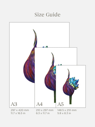 African Lily Fine Art Print