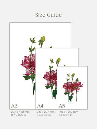 Curly Dahlias Fine Art Print