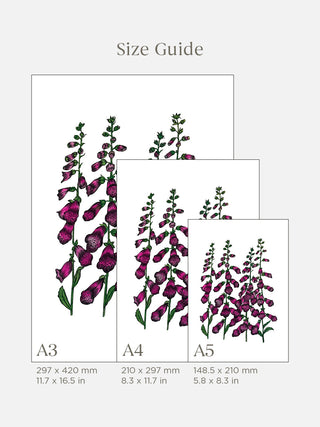 Foxgloves Fine Art Print