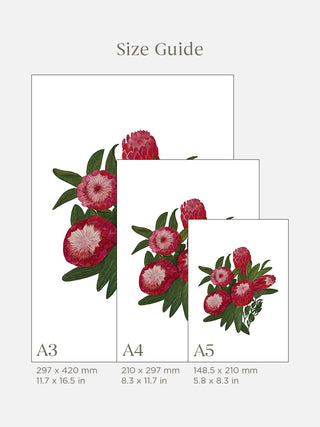 Protea Fine Art Print