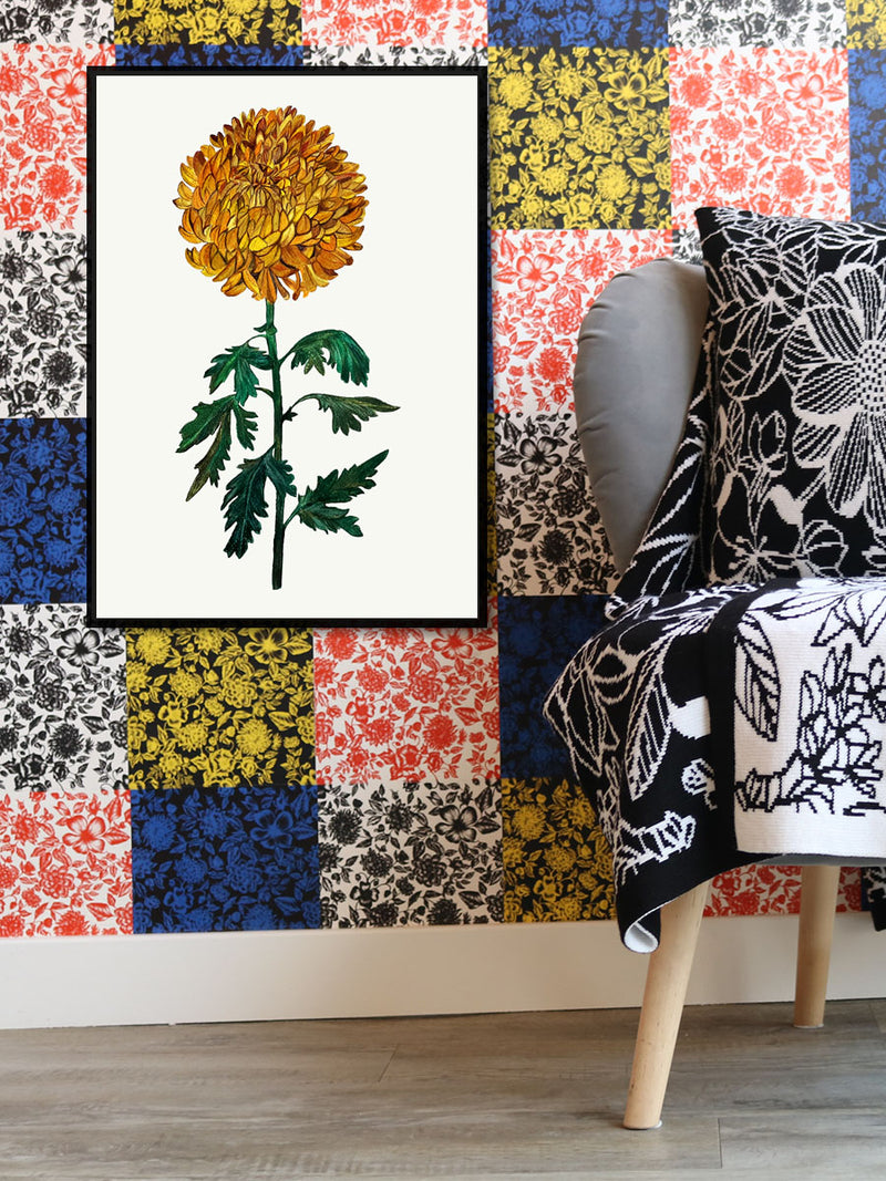 Chrysanthemum Shine Fine Art Print